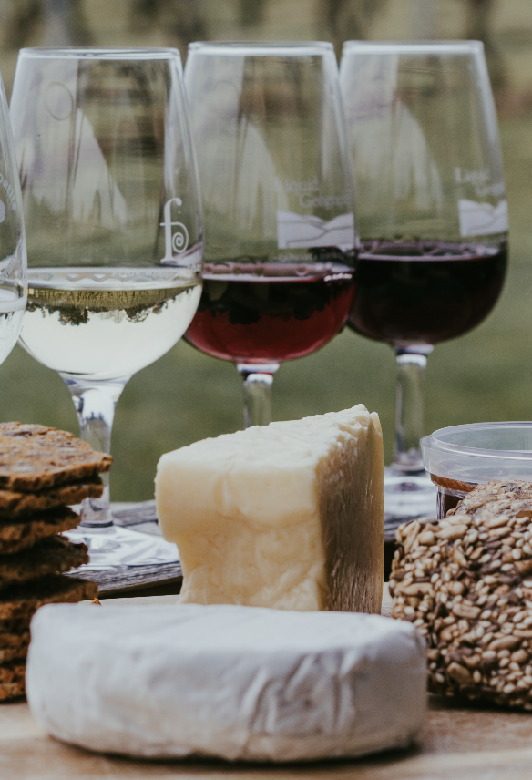 Free Wine and Cheese Night