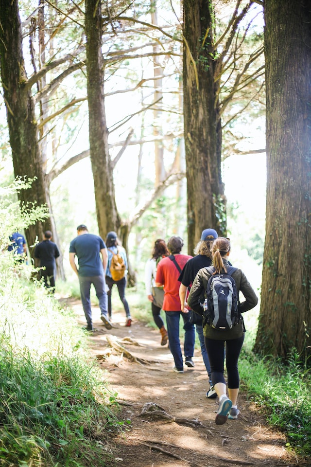 Hiking spots in Victoria